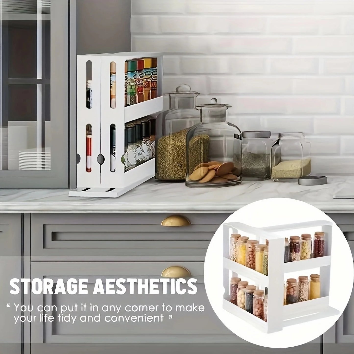 Organizador Especies